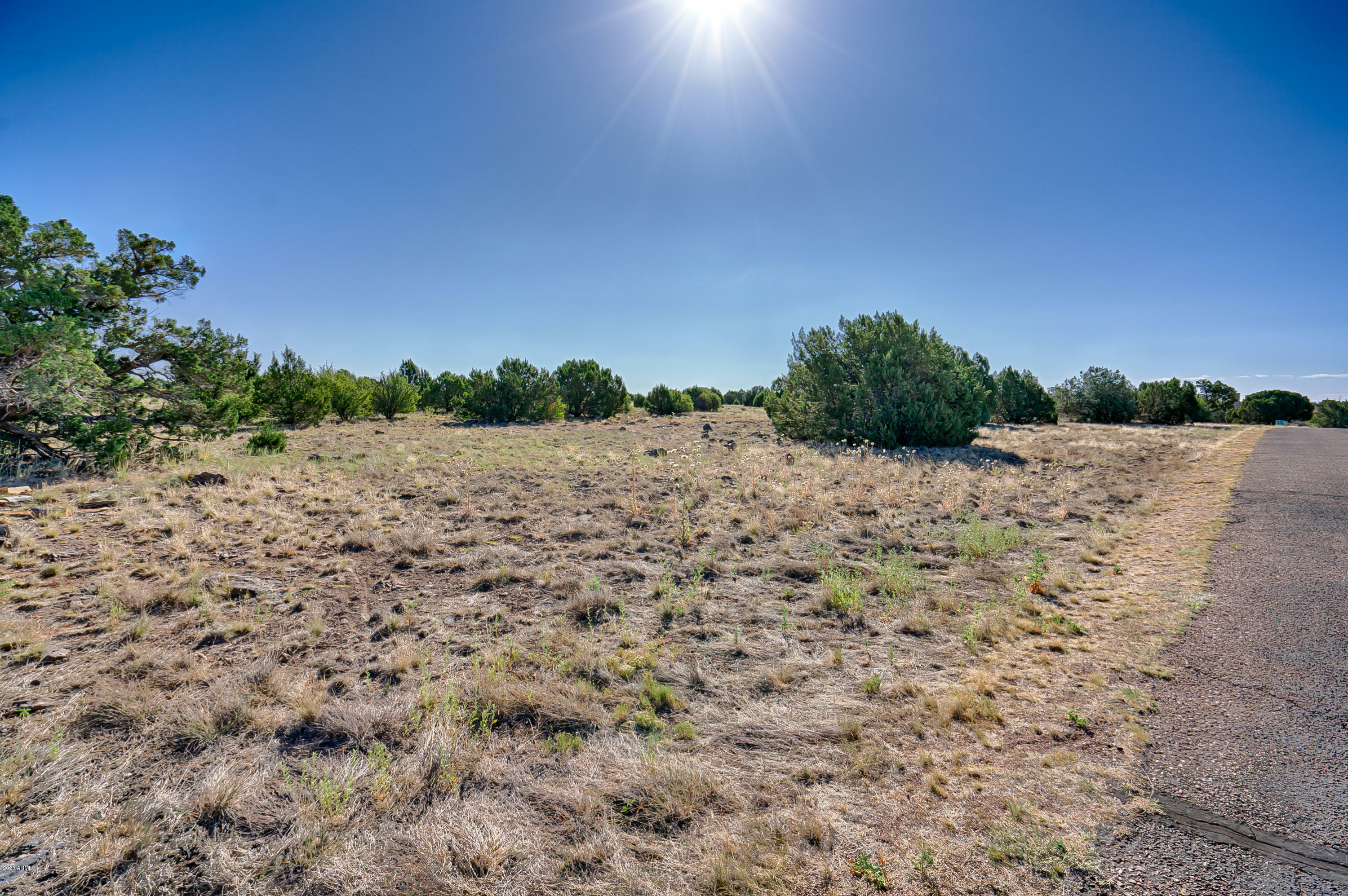 Property Photo:  1935 Creekside Circle  AZ 85901 