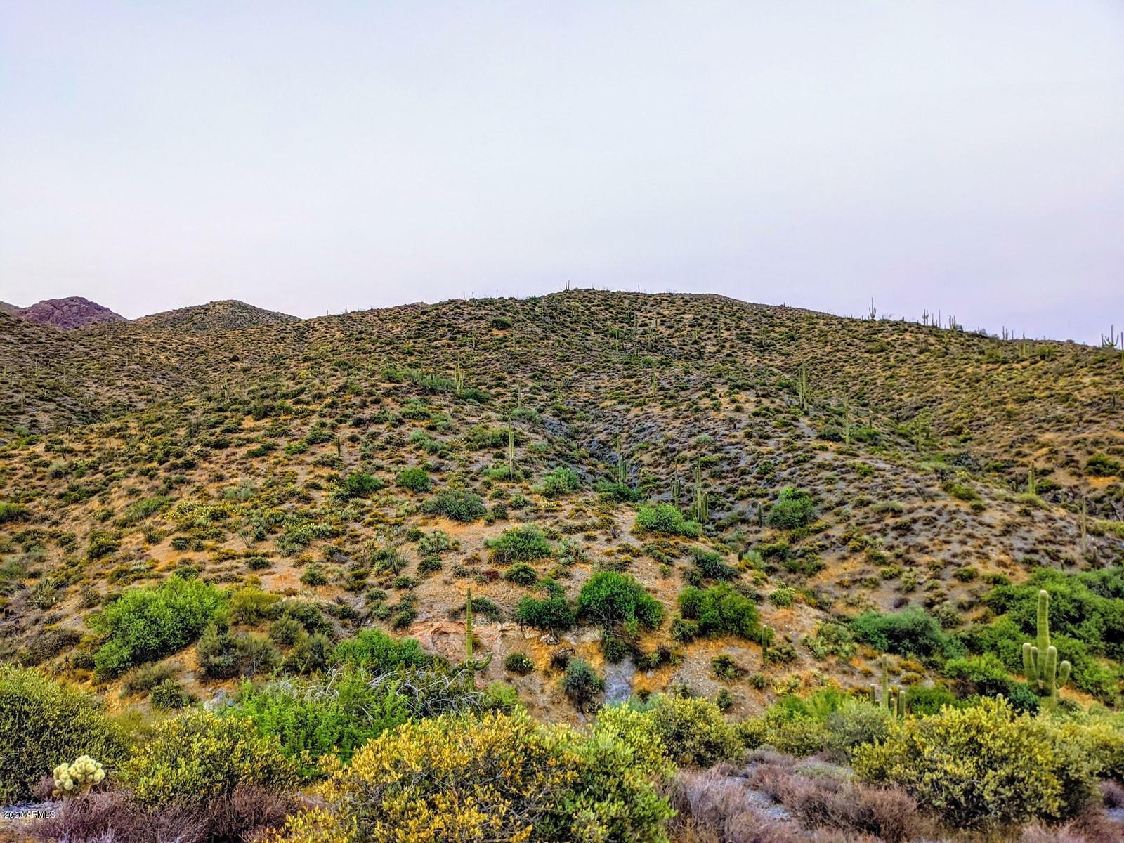 Property Photo:  9554 E Cattle Herd Drive -  AZ 85262 