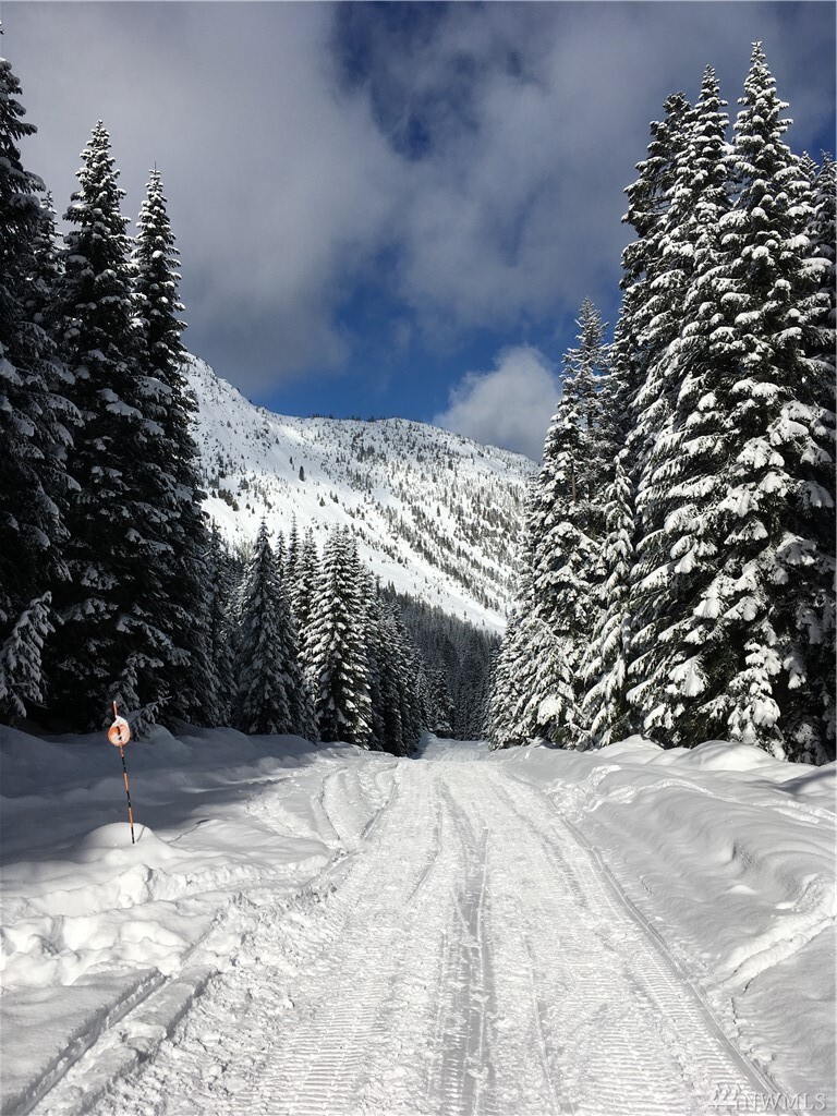 Property Photo:  34169 Stevens Rd  WA 98826 