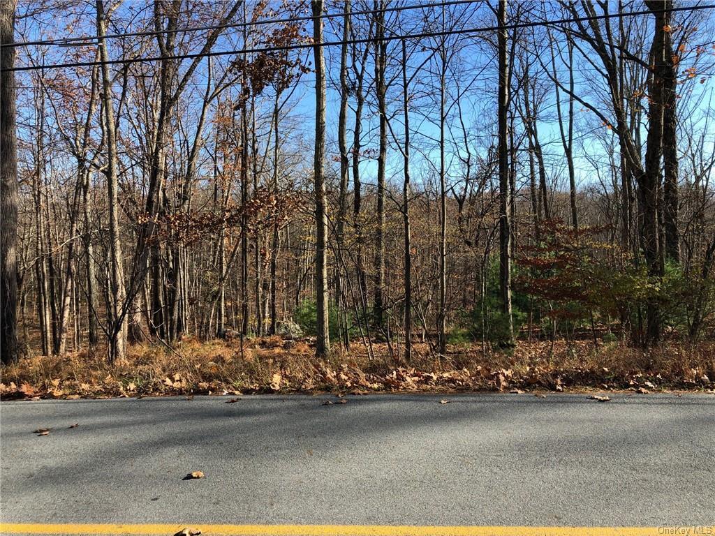 Roosa Gap Lot 2 Road  Wurtsboro NY 12790 photo
