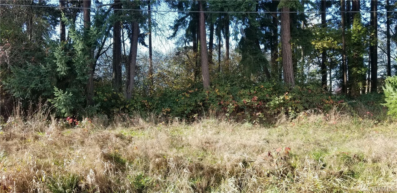 Property Photo:  10610 24th Ave E  WA 98445 