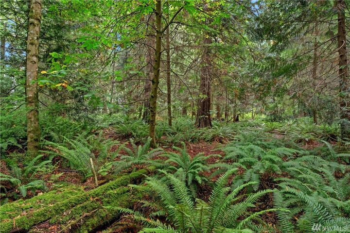 Property Photo:  Xx S Camano Dr  WA 98282 