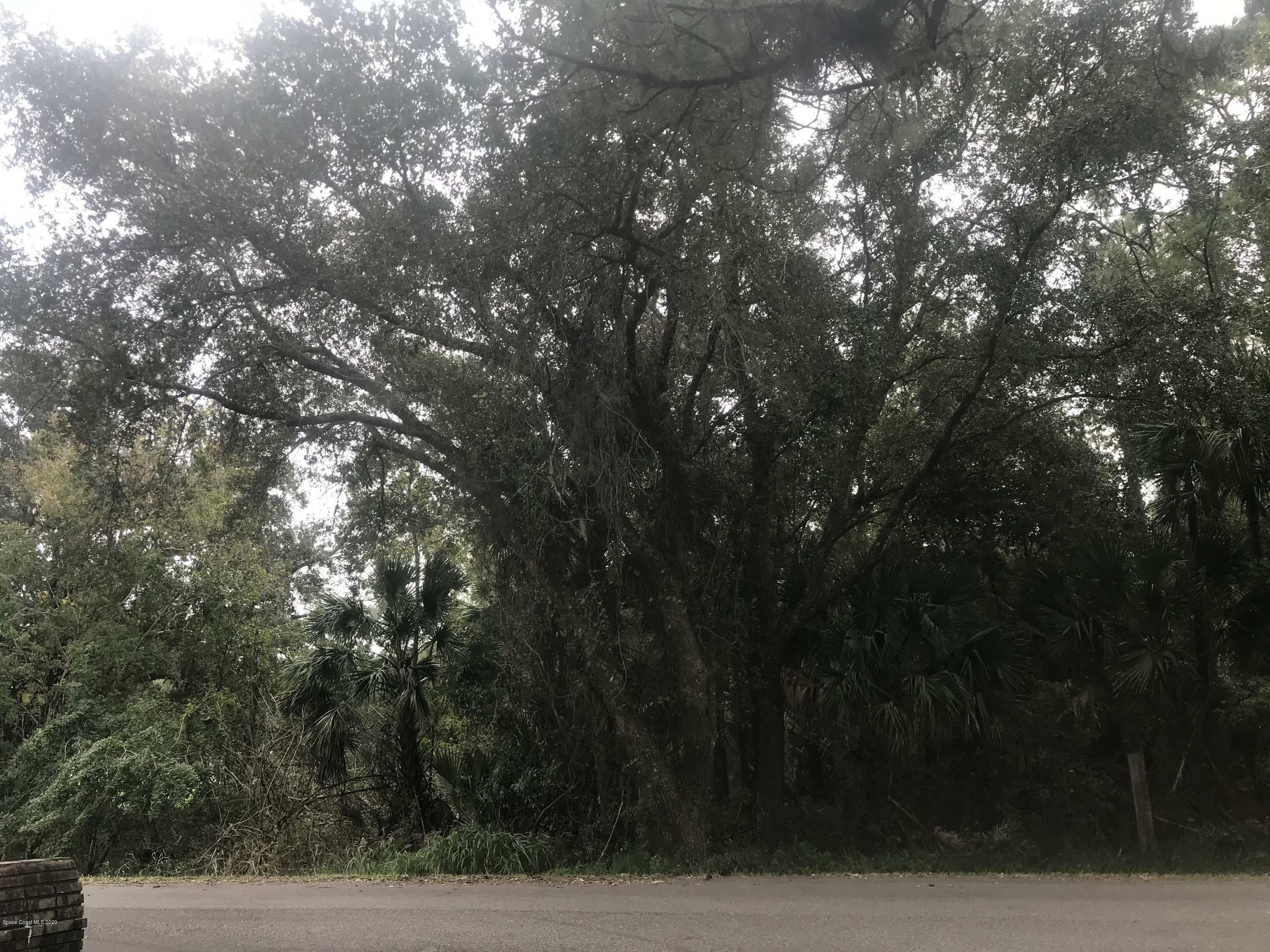 Property Photo:  4025 Grantline Road  FL 32754 