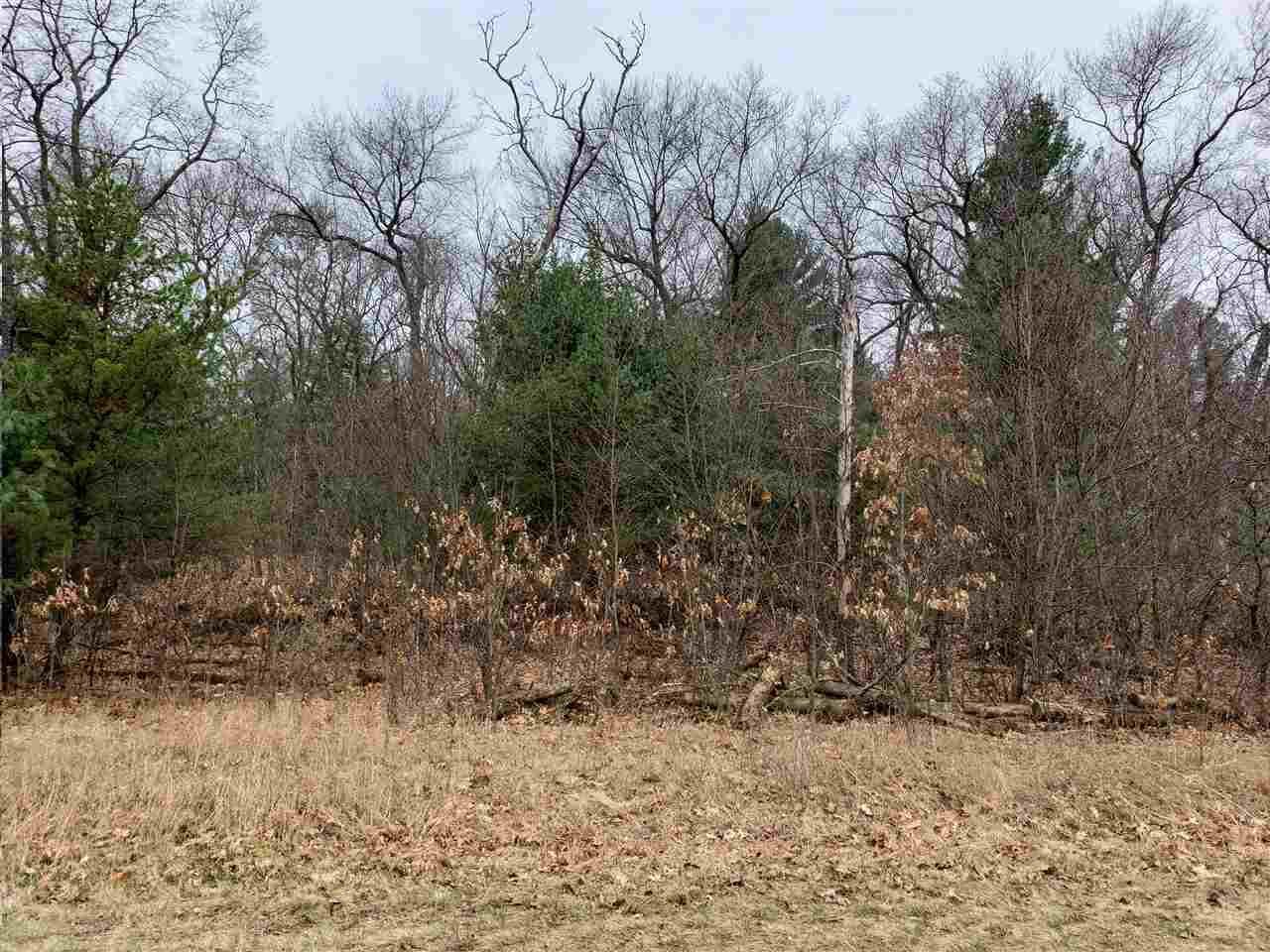 Property Photo: L7 9th Ct WI 53965