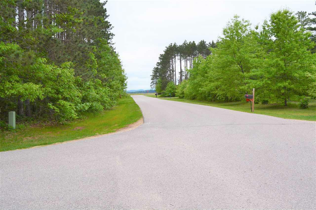 Property Photo:  L42 Monument Rd  WI 53588 