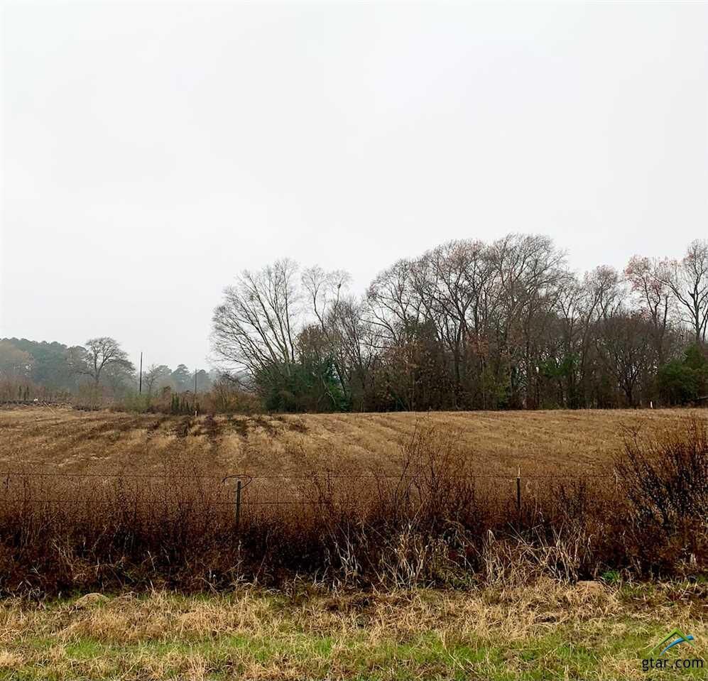 Property Photo:  17855 Cr 498  TX 75771 