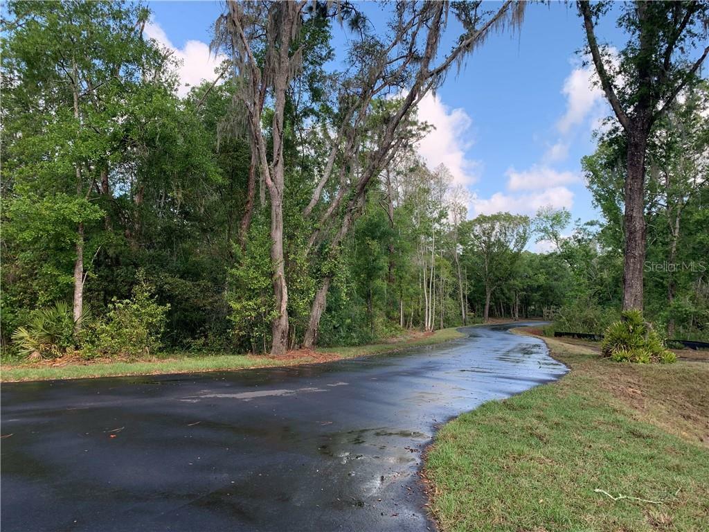 Property Photo:  Sunset Preserve-Lot 3  FL 33549 