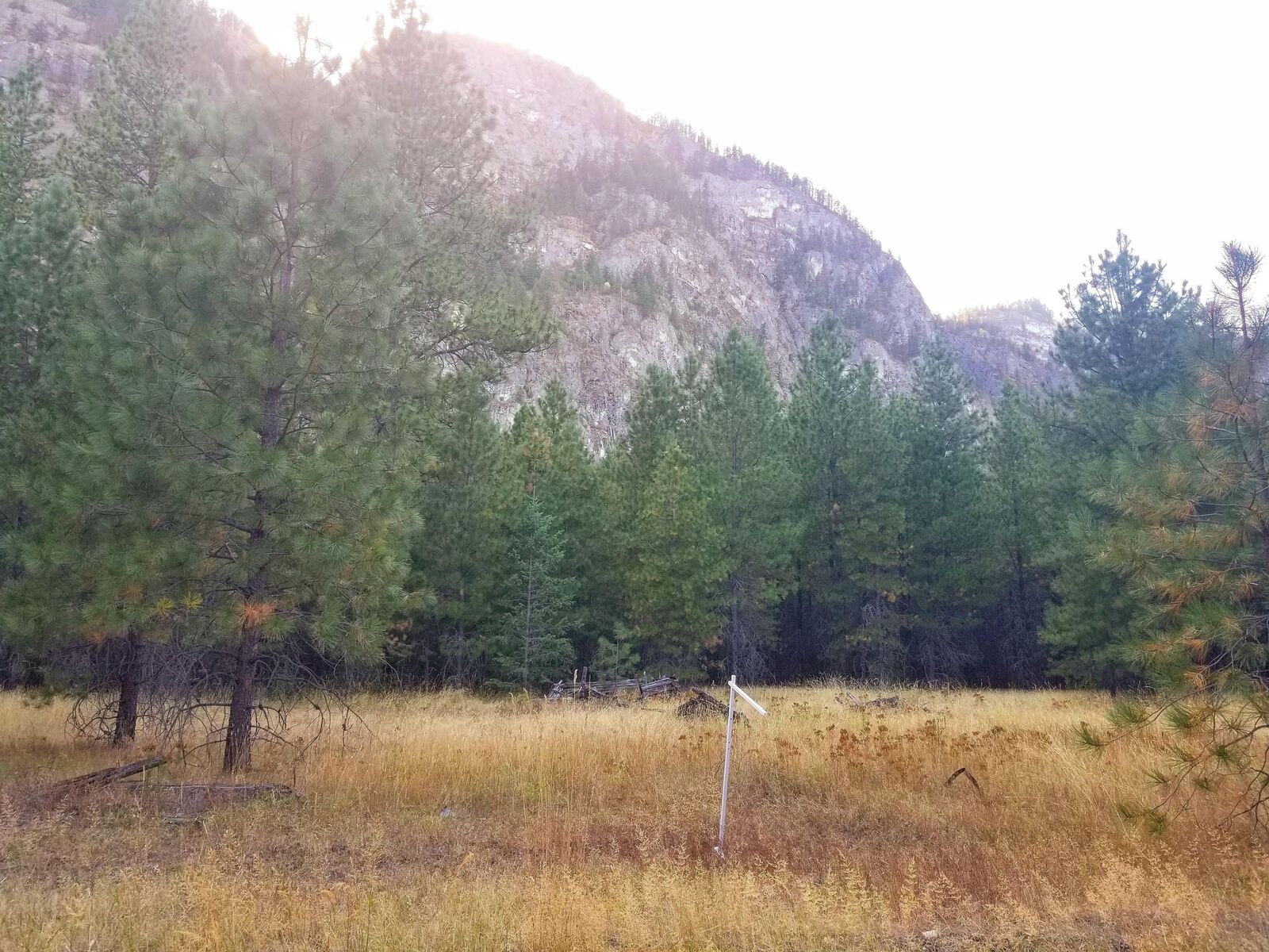 Property Photo:  Xxx Stecker Rd  WA 99146 