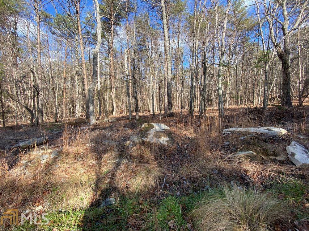 Property Photo: 0 Oak Trace West Trace W 349 GA 30143