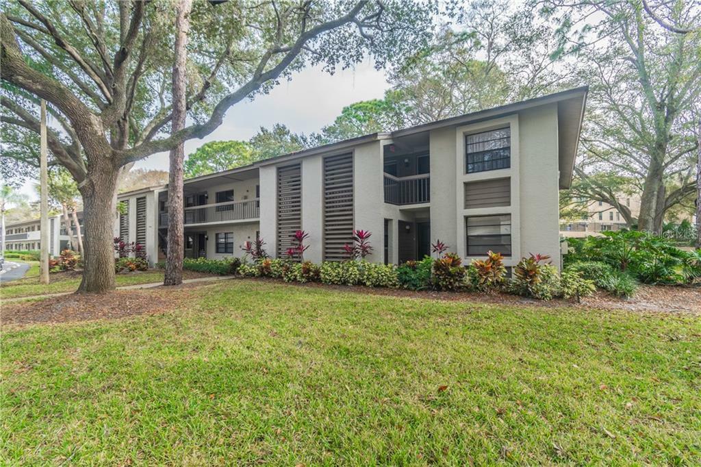 Property Photo:  3032 Eastland Boulevard B202  FL 33761 