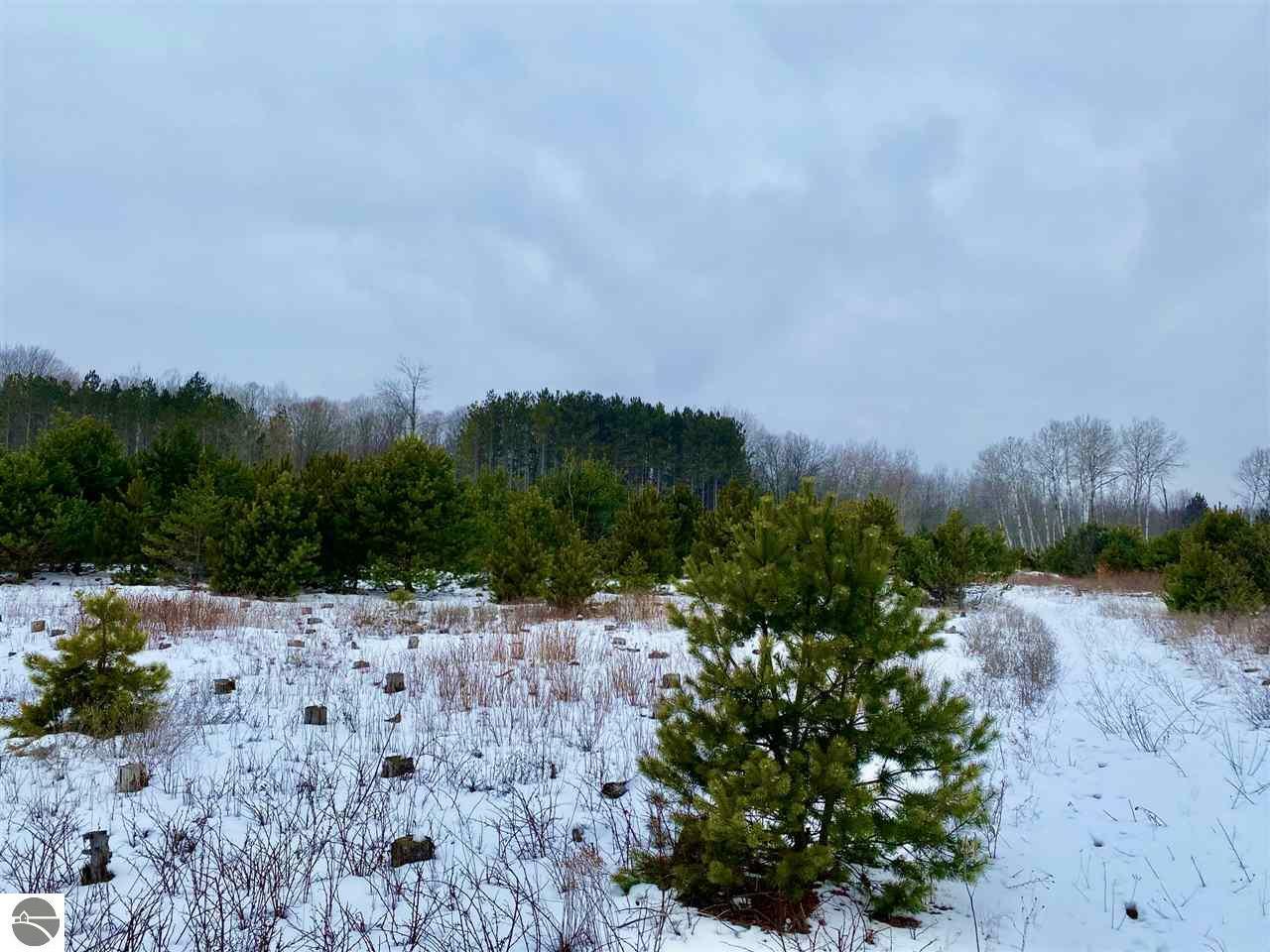 Property Photo:  000 Thompsonville Road Autumn Mist Parcel I  MI 49683 