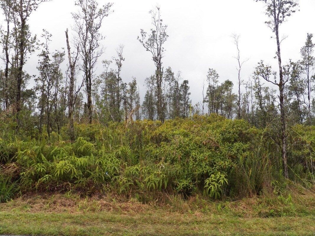 Property Photo:  Tree Fern Dr  HI 96778 