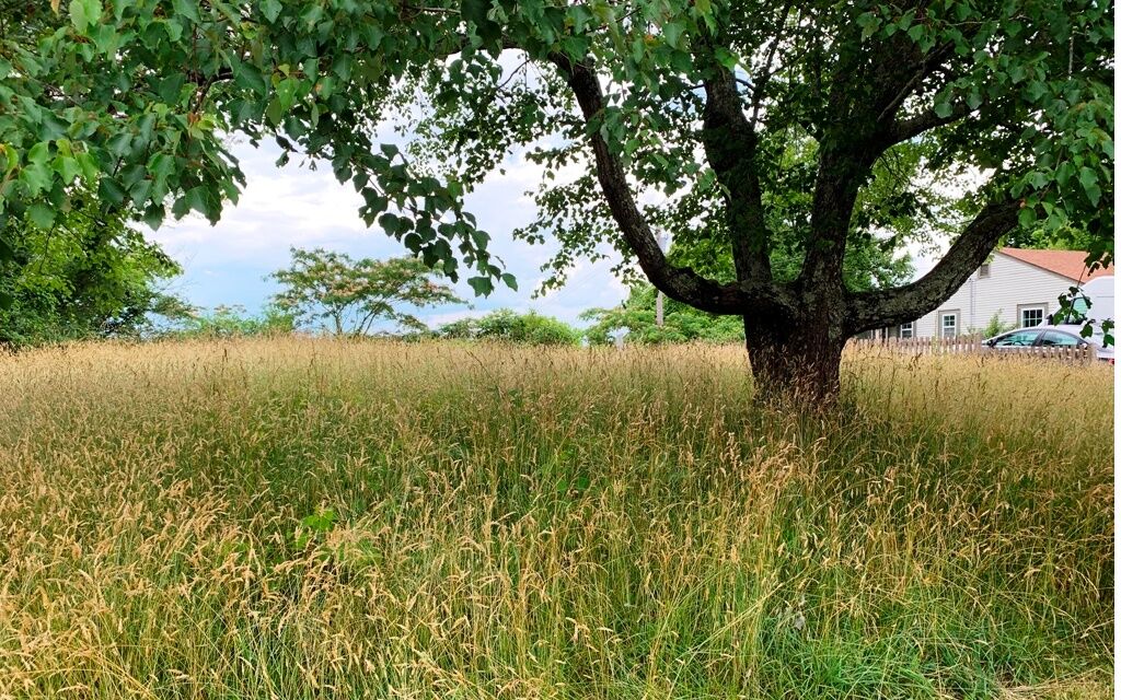 Property Photo: L 78 E Second Street GA 30513