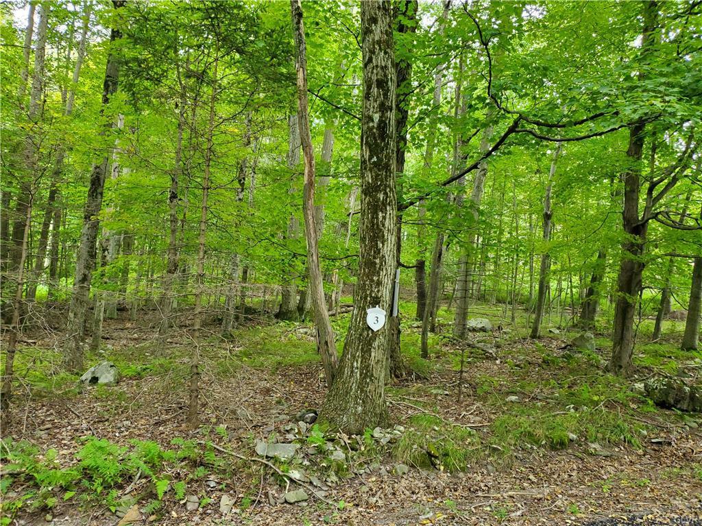 Property Photo: 3 Tall Oak Lot 3 PA 18347