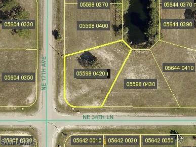 1703 NE 34th Lane  Cape Coral FL 33909 photo