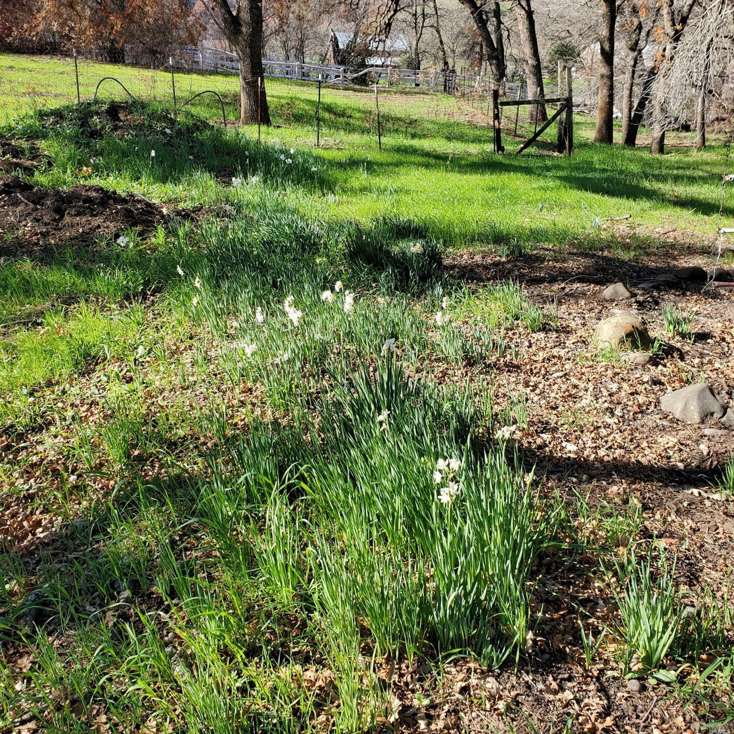 Property Photo: 7313 Pleasants Valley Road CA 95688