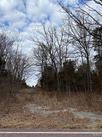 Property Photo: 0 24+/- Ac. Hillsboro Hematite MO 63028