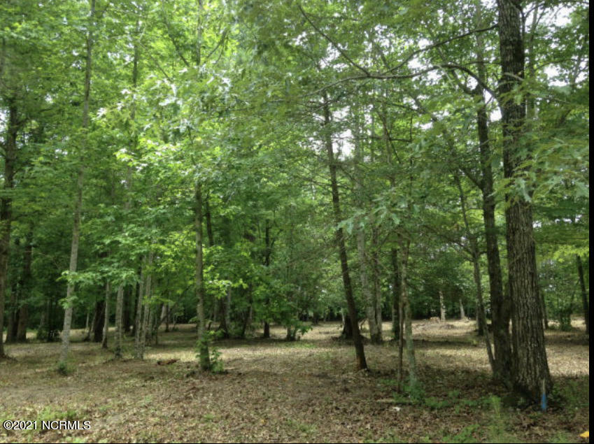 Property Photo: Lot 52 Harbor View Drive NC 27817