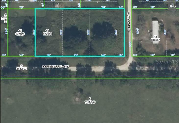 Property Photo:  Sandlewood Avenue Lot 20  FL 34604 