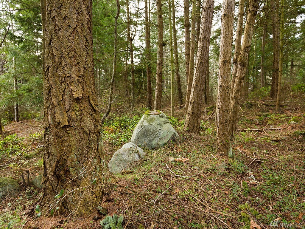 Property Photo:  7314 Holiday Blvd  WA 98221 