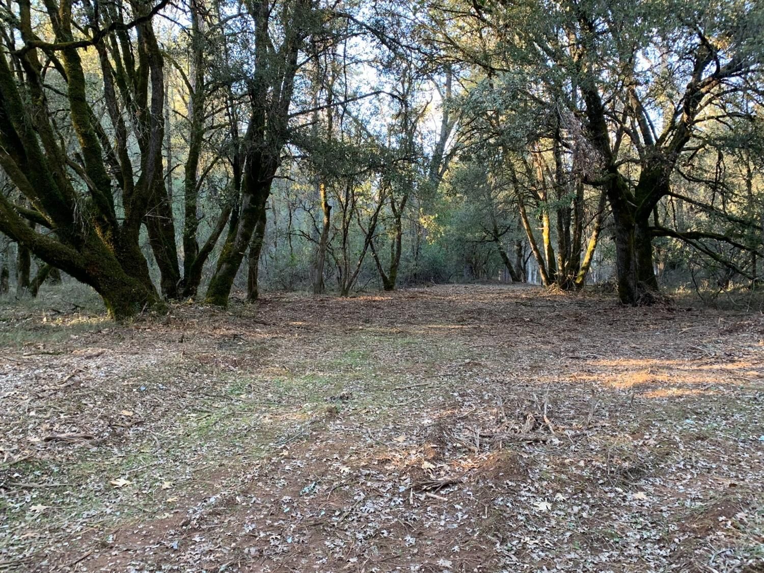 Property Photo: 0 Blue Ledge Lane CA 95633