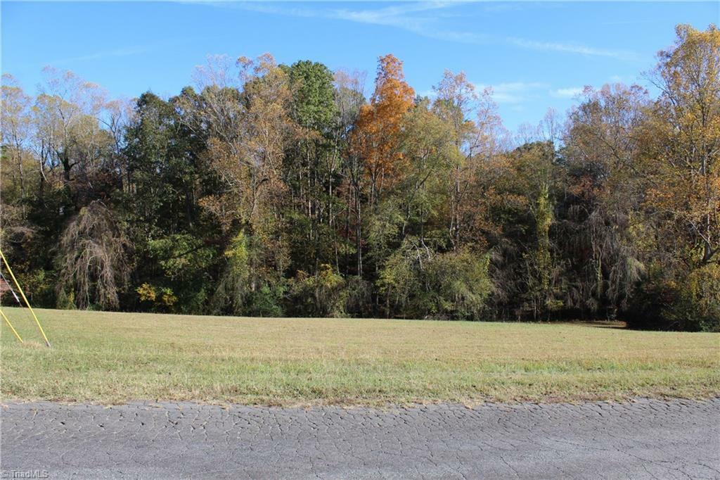 Property Photo:  0 Mountain View Drive  NC 27041 