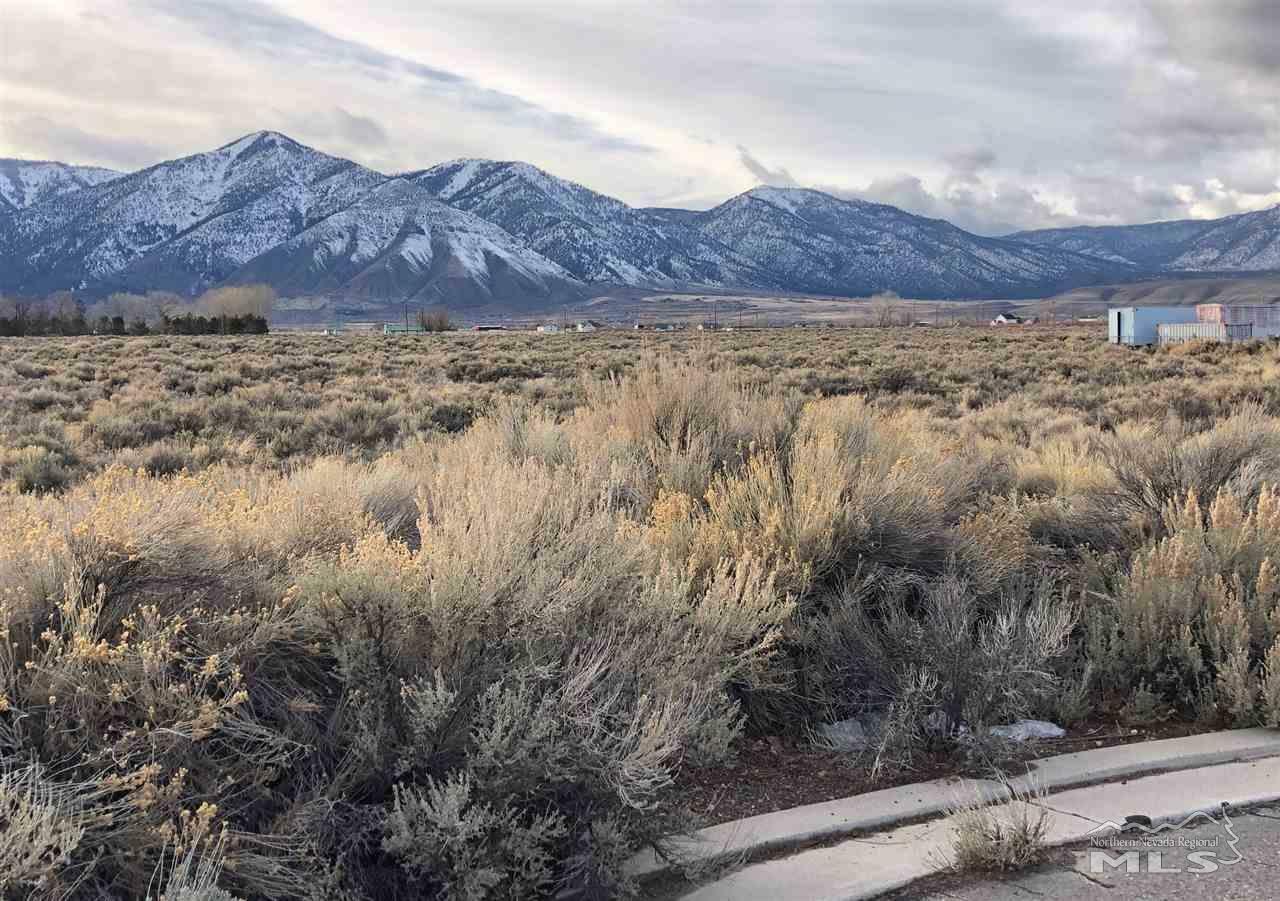 Property Photo: 1162 Annie Ct 1 NV 89423