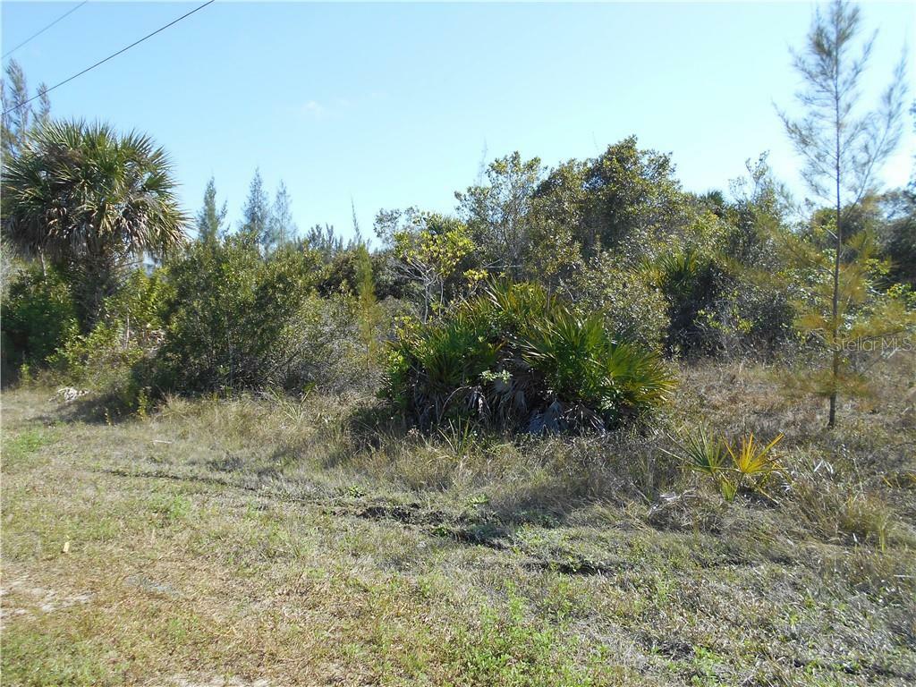 Property Photo:  1259 Cheshire Street  FL 33953 