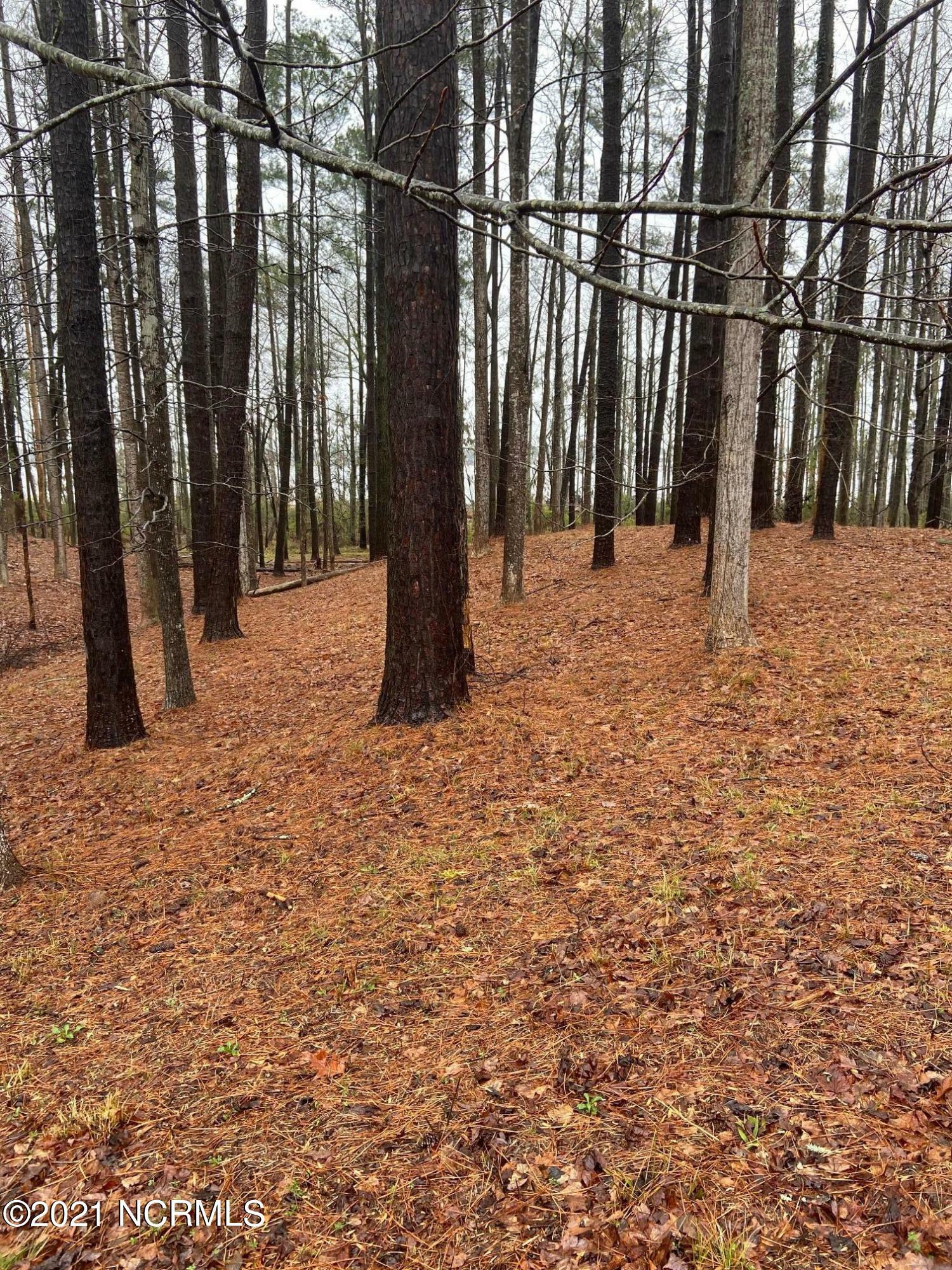 Property Photo: 117 Providence Place NC 27817