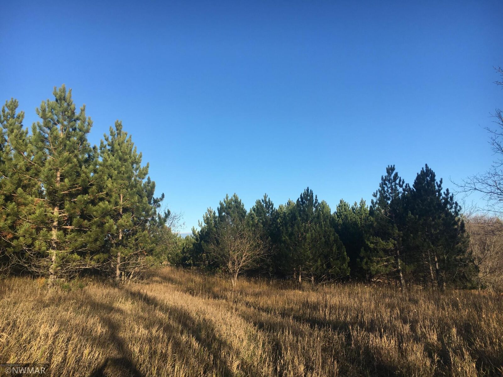 Property Photo:  Tbd Shelby Drive NE  MN 56601 