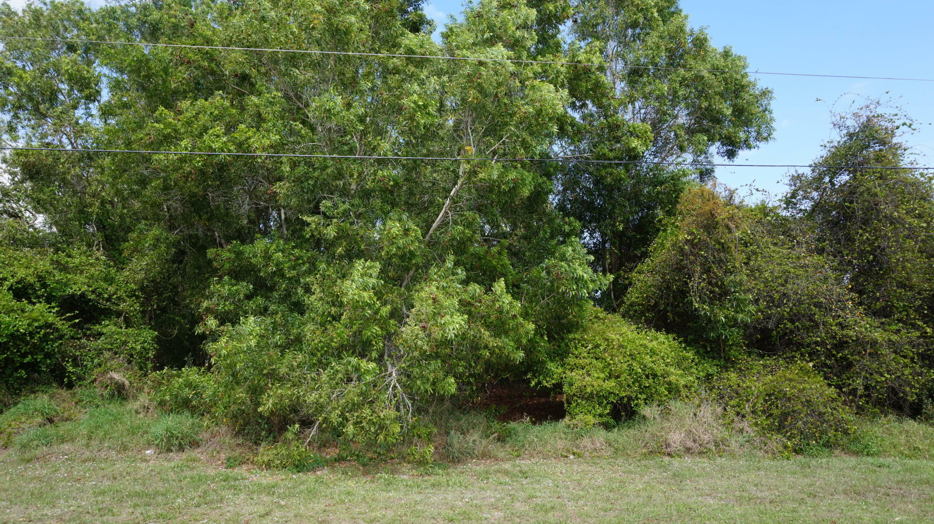 Property Photo:  1037 SE Lansdowne Avenue  FL 34983 