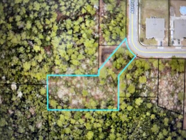 Property Photo:  .74 Ac Ashton Circle  FL 32536 