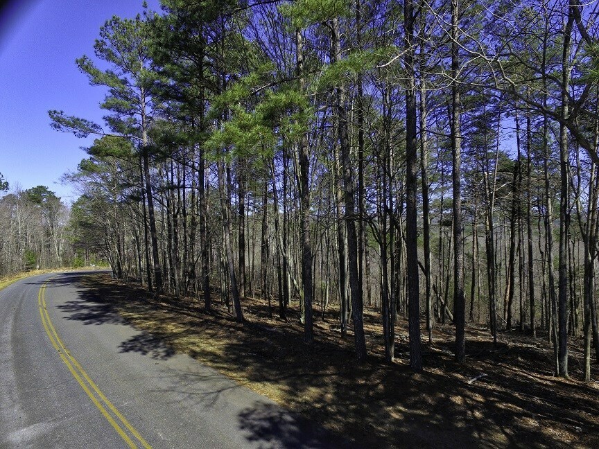 Property Photo:  0 Doll Mountain Road Lt178  GA 30540 