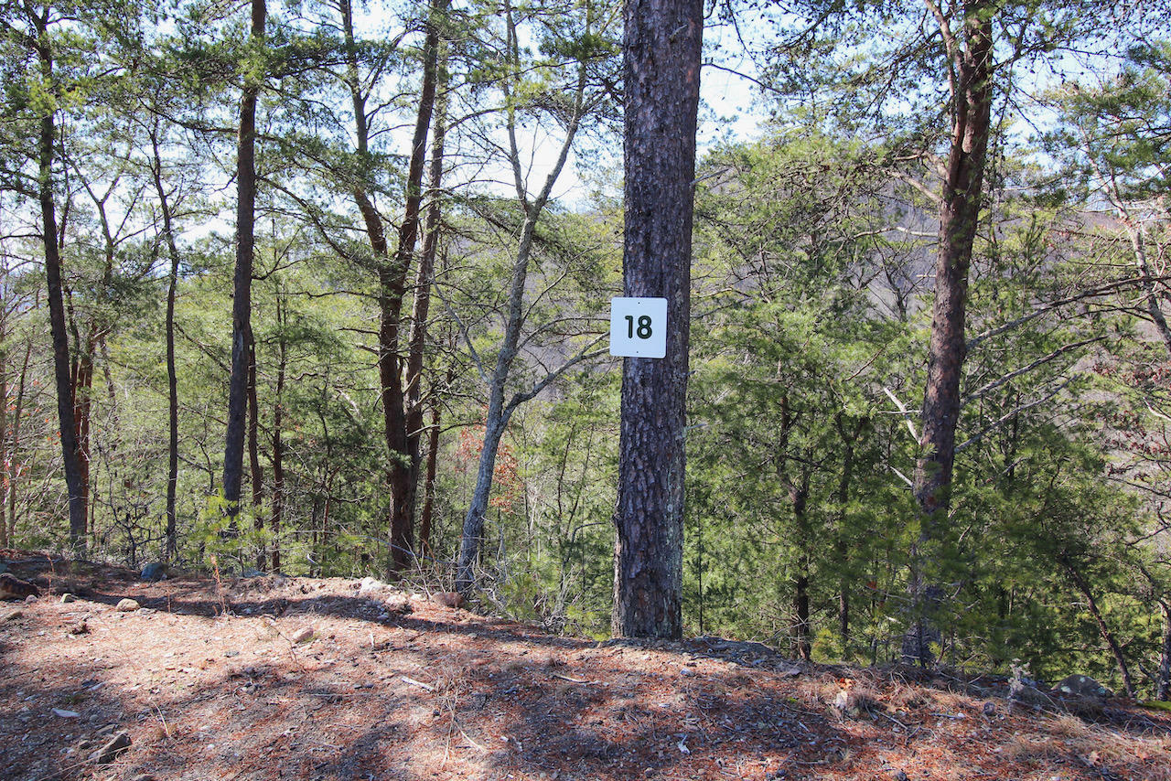 Property Photo:  Lot 18 Mountain Ash Way  TN 37876 