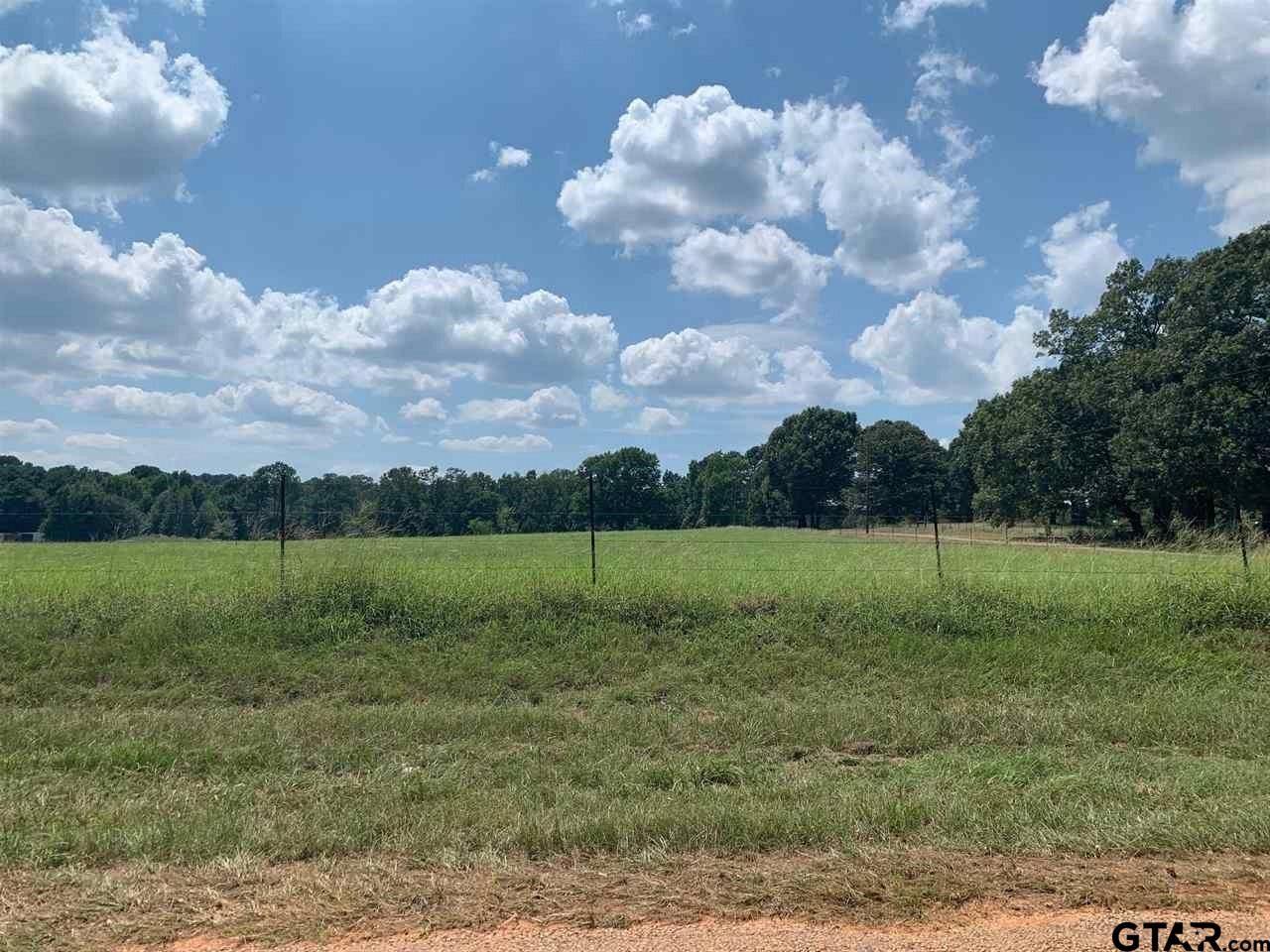 Property Photo:  Tbd Cr 479 Tract 1  TX 75771 