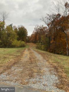 Property Photo:  Lot 4A Harry Hiett Ln  VA 22637 