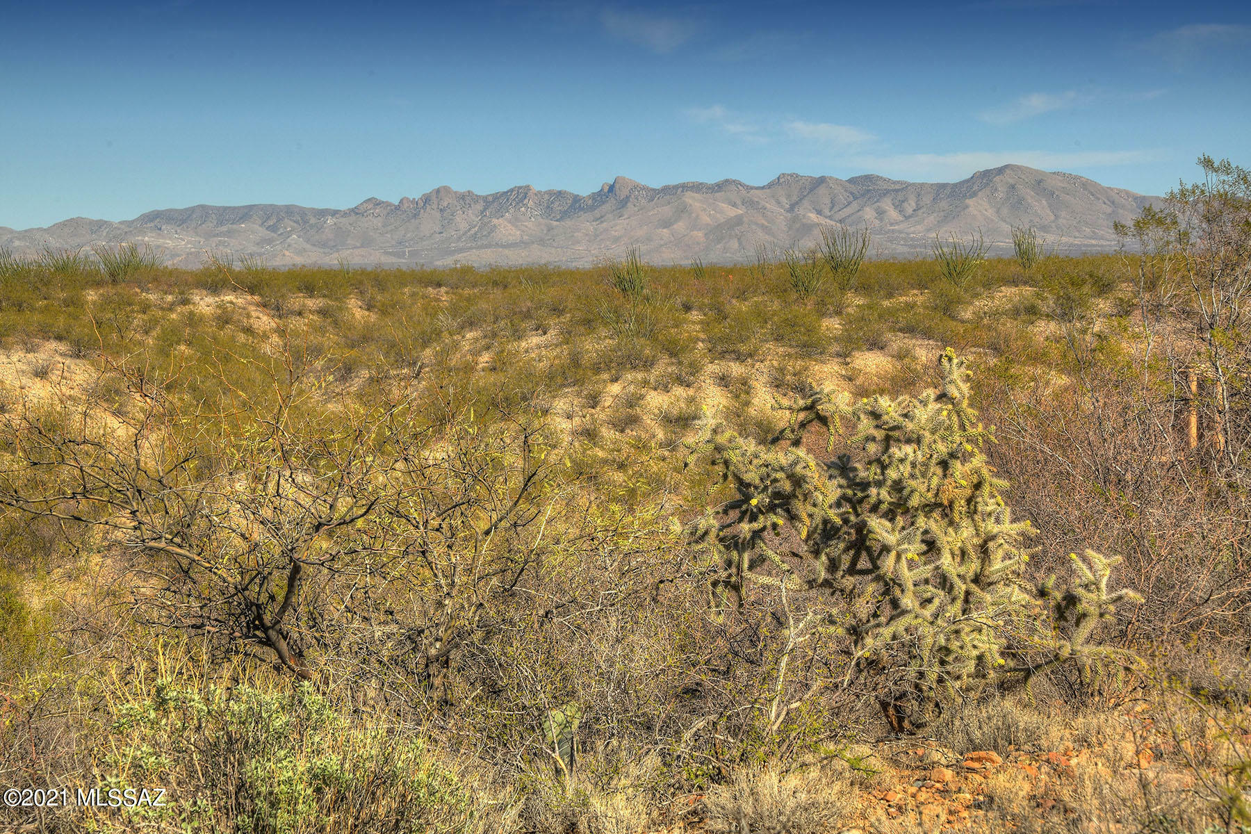 Property Photo:  1032 E Baldy Spring Place 0090  AZ 85614 