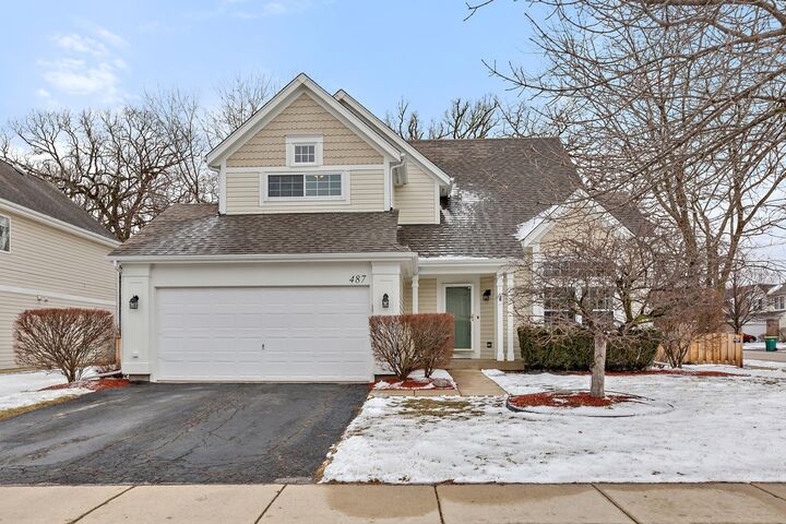 487 Lexington Lane  Grayslake IL 60030 photo