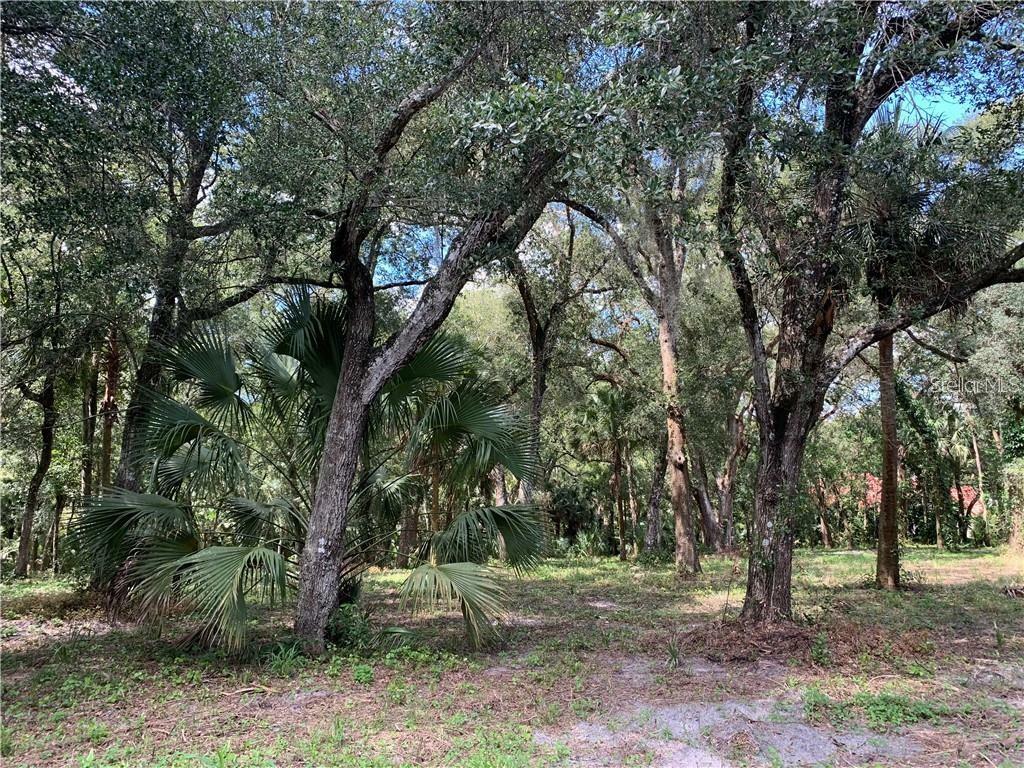 Property Photo:  6B Markham Woods Road  FL 32779 