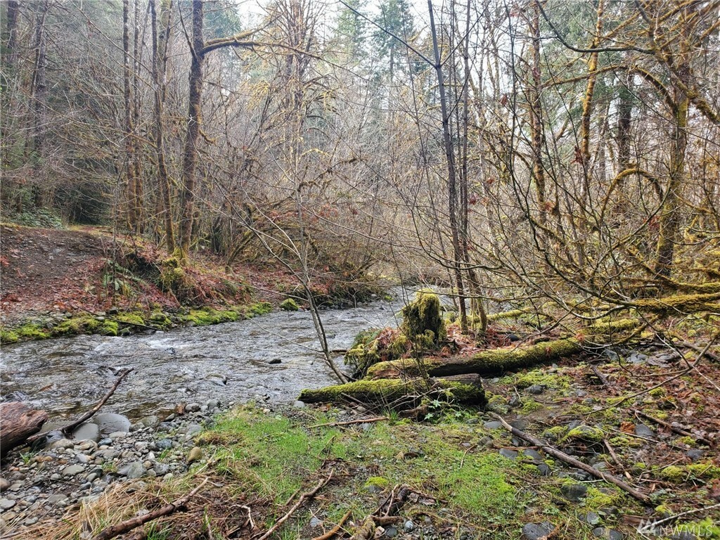 Property Photo: 0 Unknown WA 98548