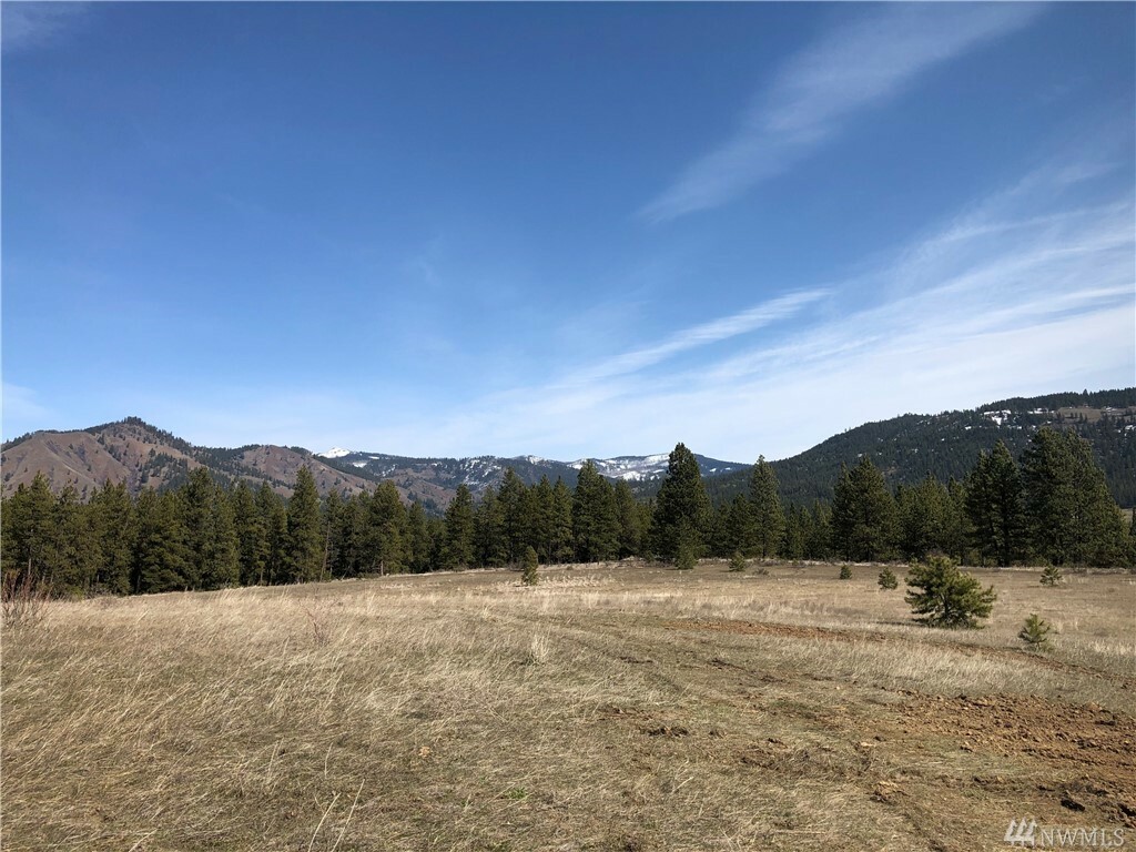 Property Photo:  Xxx Mountain Creek Dr  WA 98922 