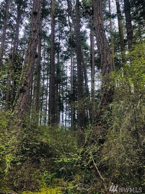 Property Photo: 781 Pavey Blvd WA 98261