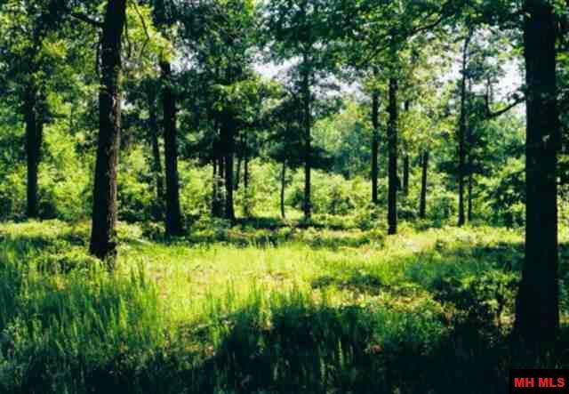 Property Photo: Lot 21 Cr 472 AR 72623