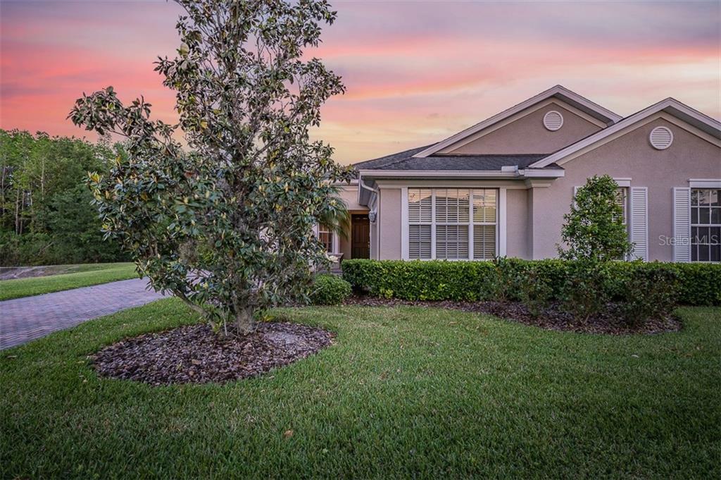 Property Photo:  3850 Fawnmist Drive  FL 33544 