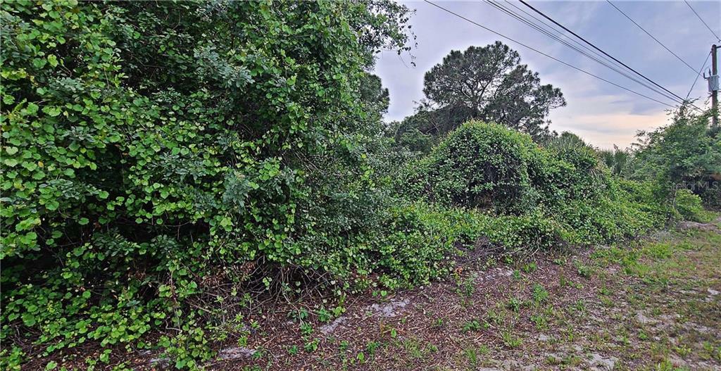 Property Photo:  Dolomite Avenue  FL 34287 