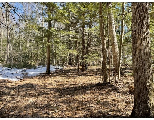 Property Photo: 92 Crooked Ledge Rd MA 01073