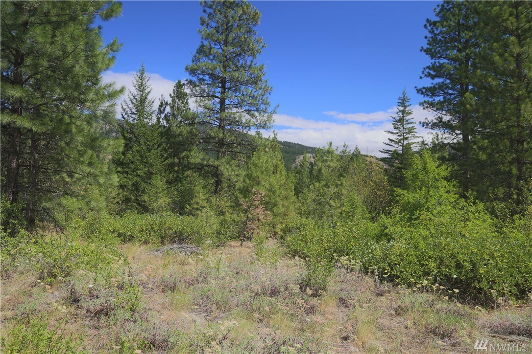 Property Photo:  19 Evergreen Wy  WA 98862 