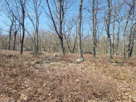 Property Photo:  Beaver Run Road  PA 12864 