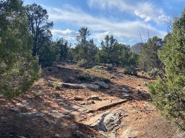 Property Photo:  Camp Valley Dr 104  UT 84783 
