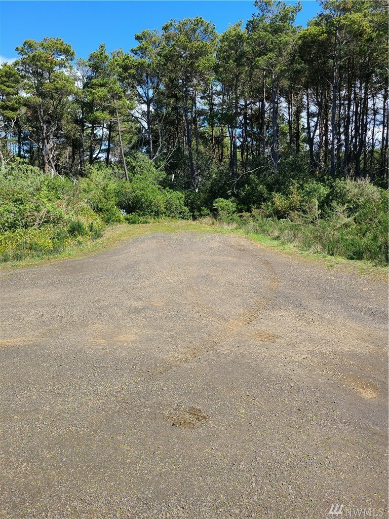 Property Photo:  Lot 5 Gold St  WA 98595 